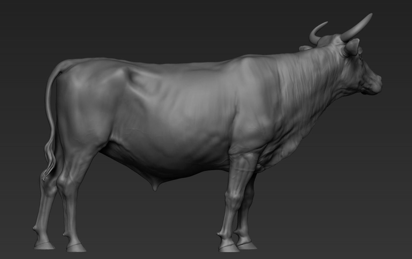 Cow and Bull 3D print model_12