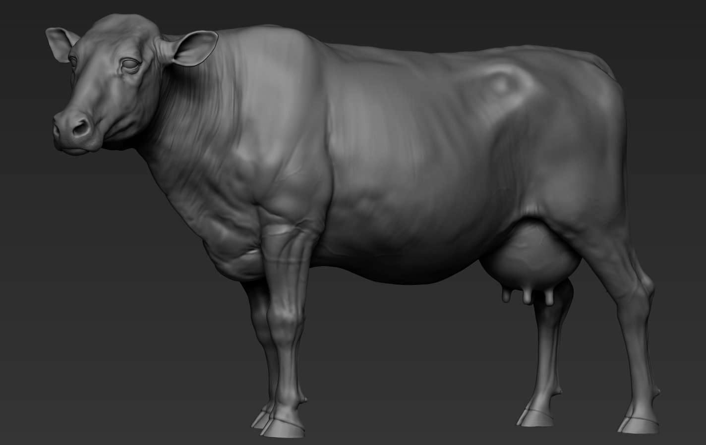 Cow and Bull 3D print model_14