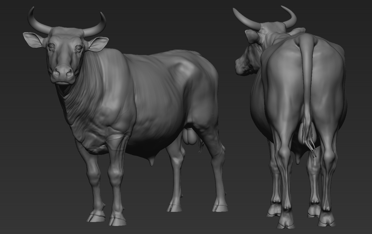 Cow and Bull 3D print model_17