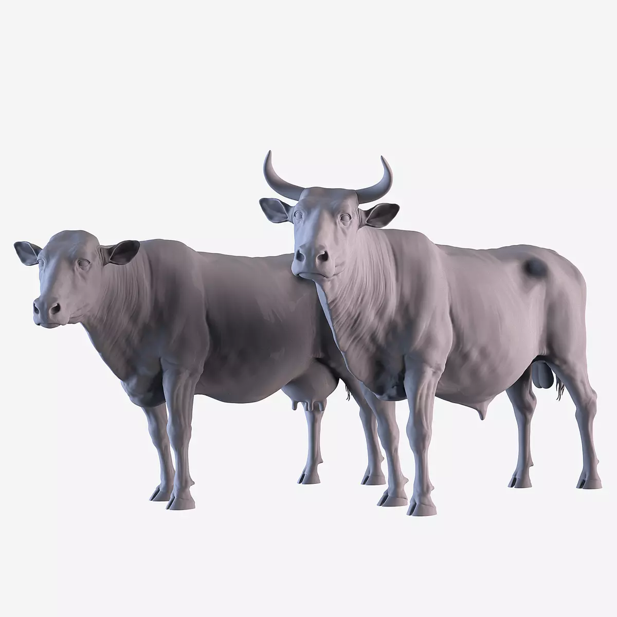 Cow and Bull 3D print model_0