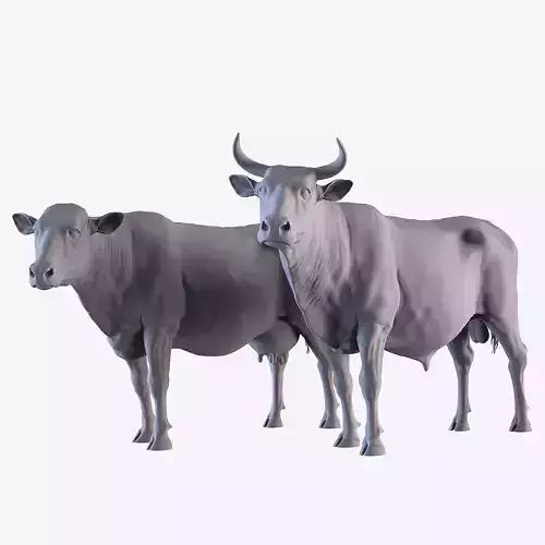 Cow and Bull 3D print model