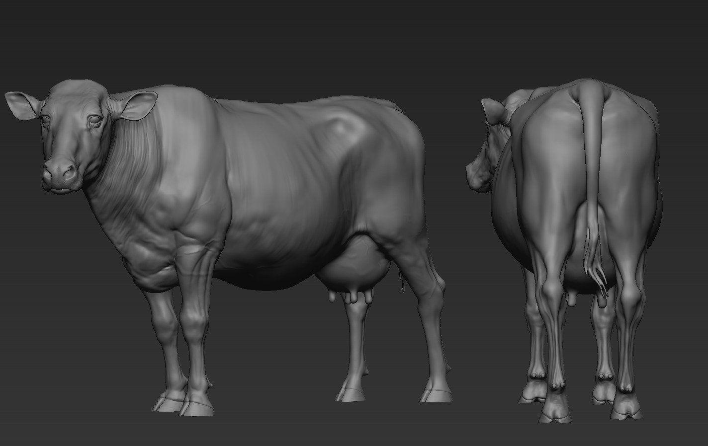 Cow and Bull 3D print model_16