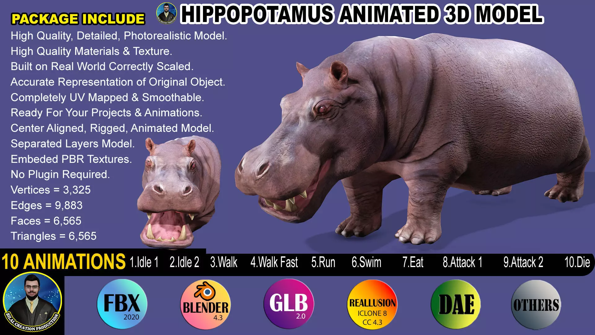 Hippopotamus Rigged Animated 11 Low-poly 3D model_0