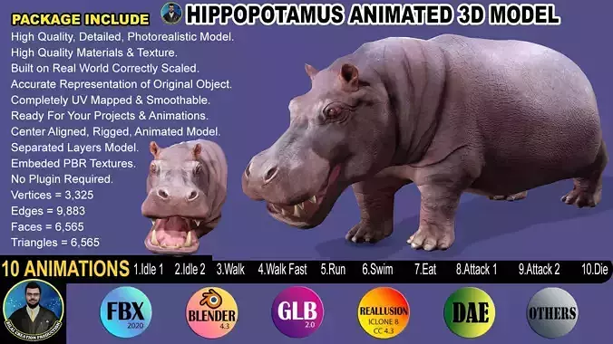 Hippopotamus Rigged Animated 11 Low-poly 3D model