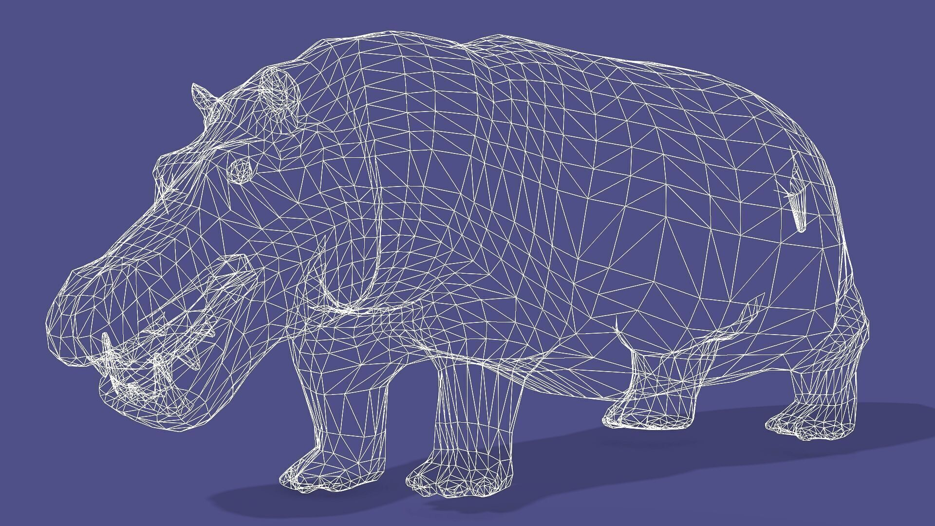 Hippopotamus Rigged Animated 11 Low-poly 3D model_12