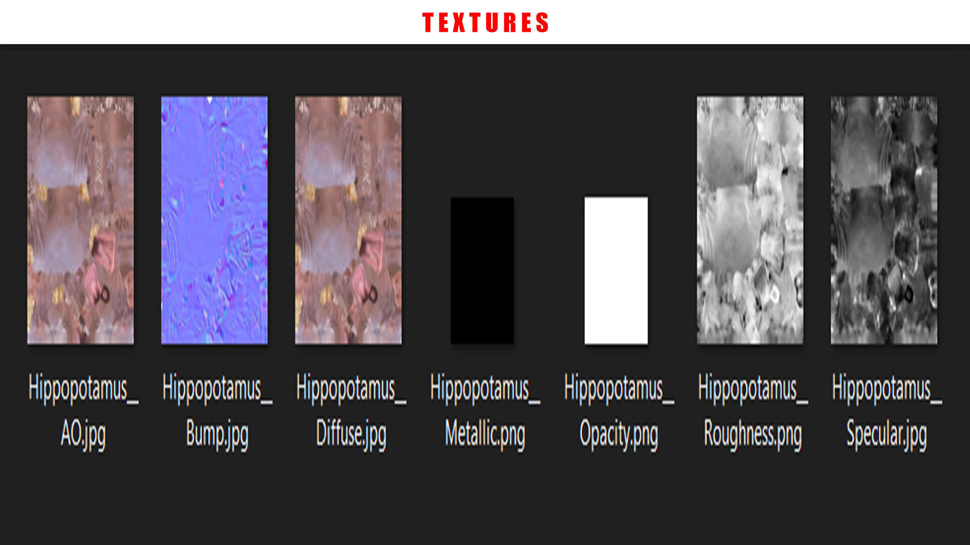 Hippopotamus Rigged Animated 11 Low-poly 3D model_13