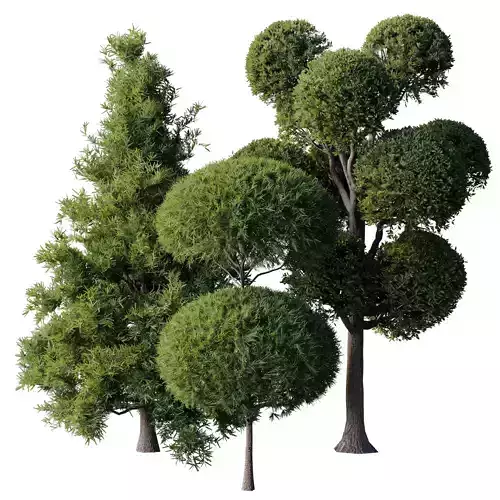 Collection mixed plants bush Topiary shrubs set 07