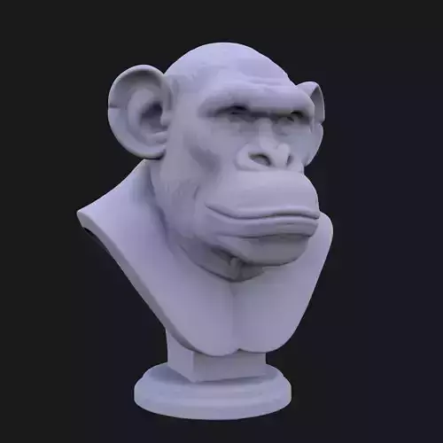 Bored Ape Bust 3D STL Printable - 3D Model STL