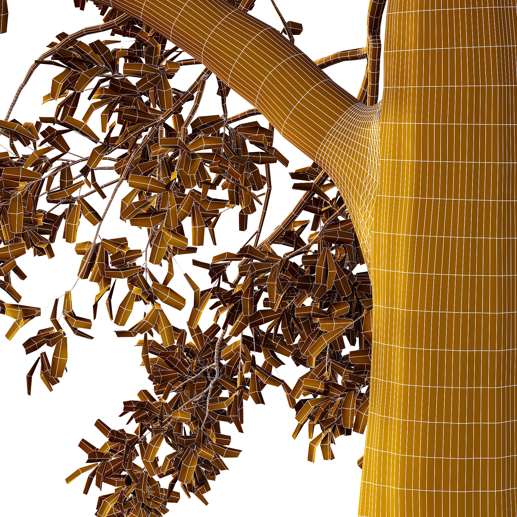 Spanish Moss Tree 04 3D model_3