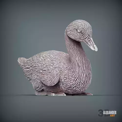 swan baby is lying down