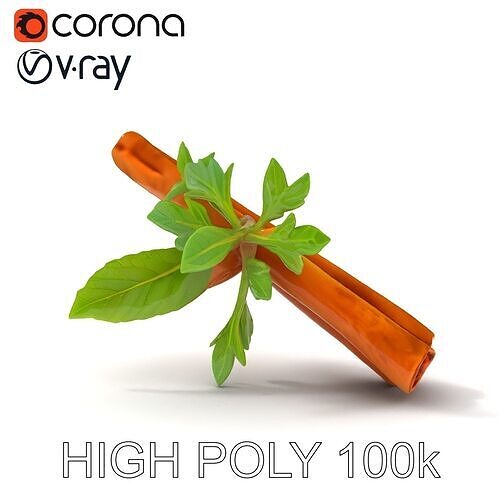 Cinnamon Stick with Herbs Model Pack Low-poly 3D model 2