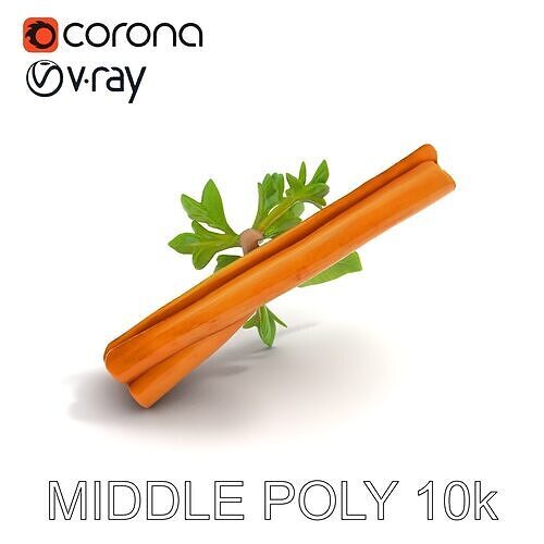 Cinnamon Stick with Herbs Model Pack Low-poly 3D model 6