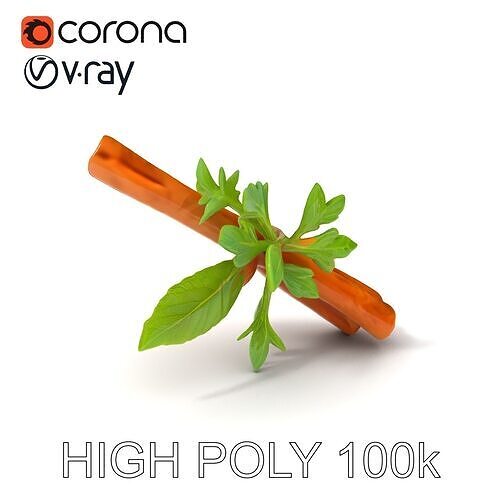 Cinnamon Stick with Herbs Model Pack Low-poly 3D model 7