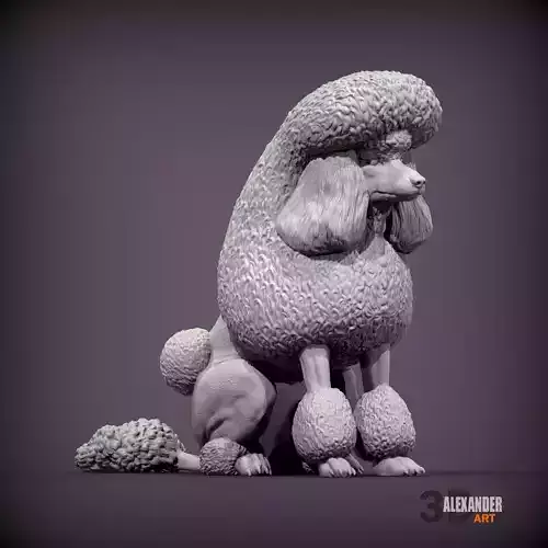 Royal poodle 3D print model