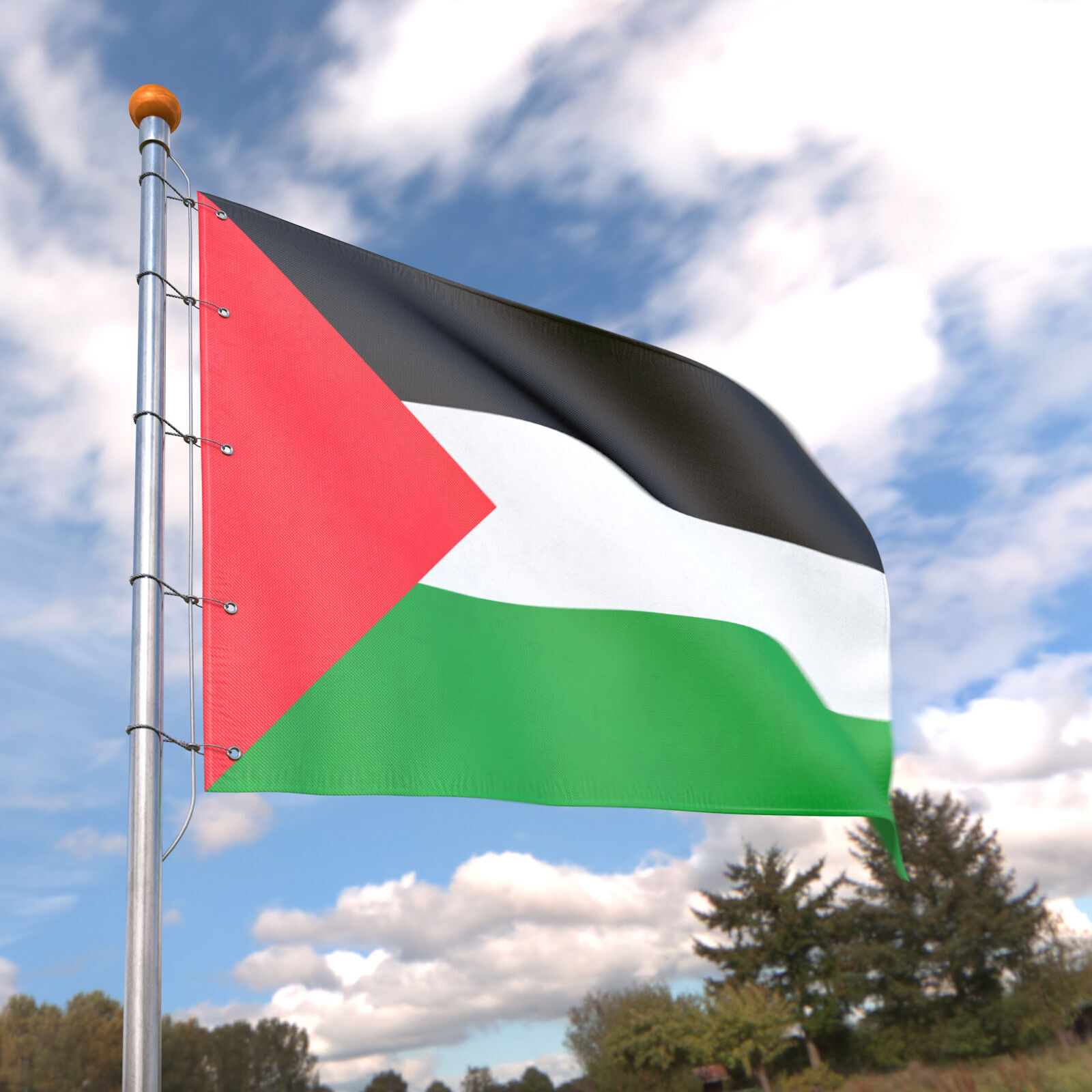 Flag Palestine animated loop 3D model_4