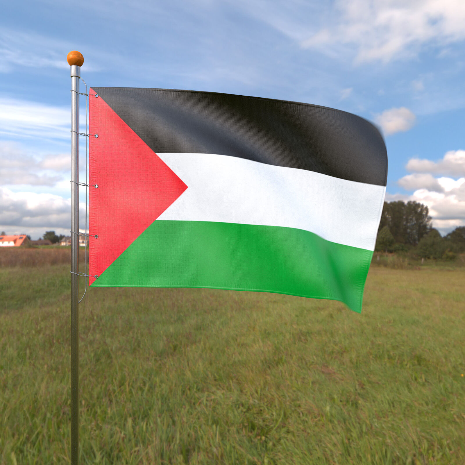 Flag Palestine animated loop 3D model_2