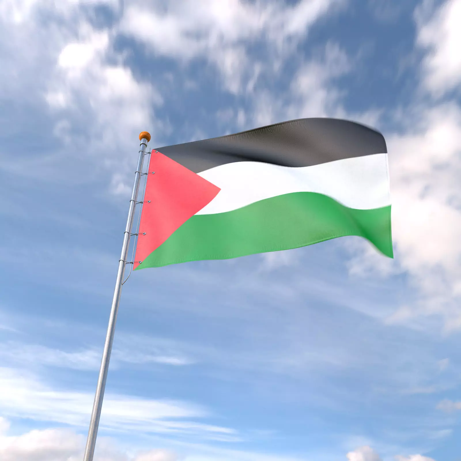 Flag Palestine animated loop 3D model_0