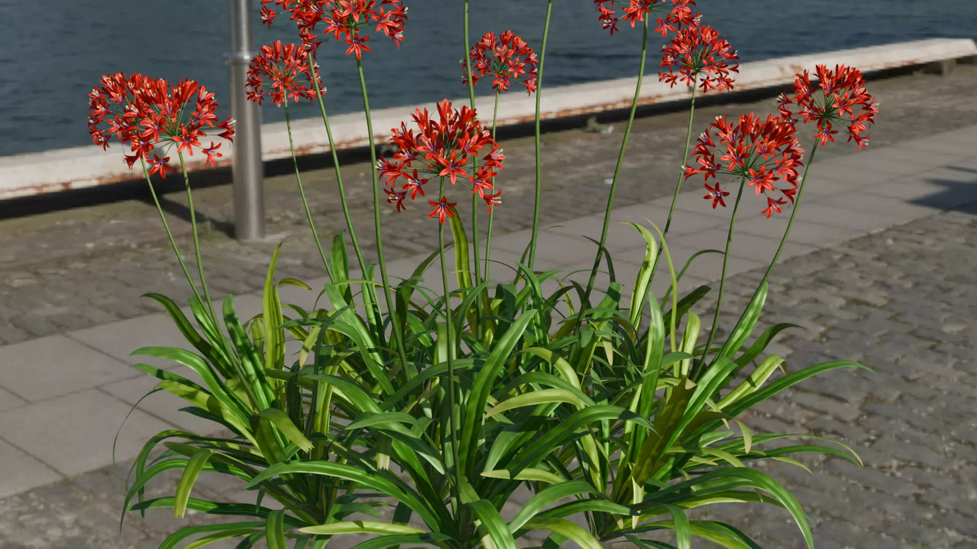 Lily flower 3d model 3D model