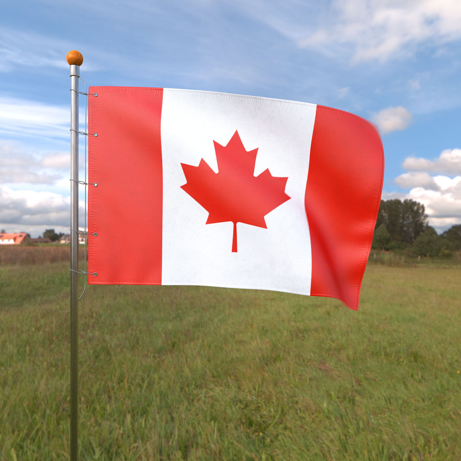 Flag Canada animated loop 3D model_2