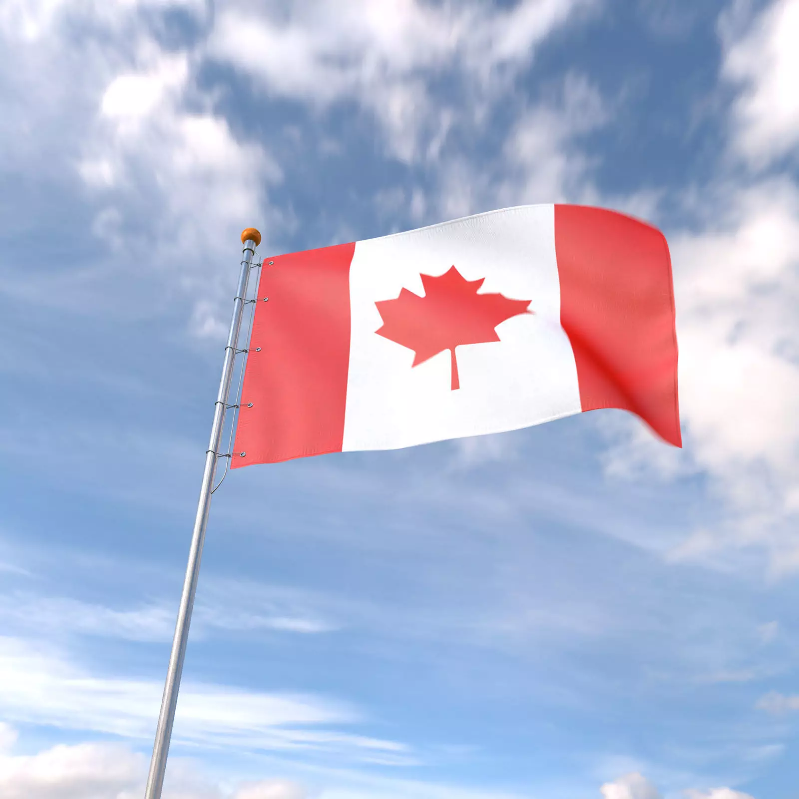 Flag Canada animated loop 3D model_0