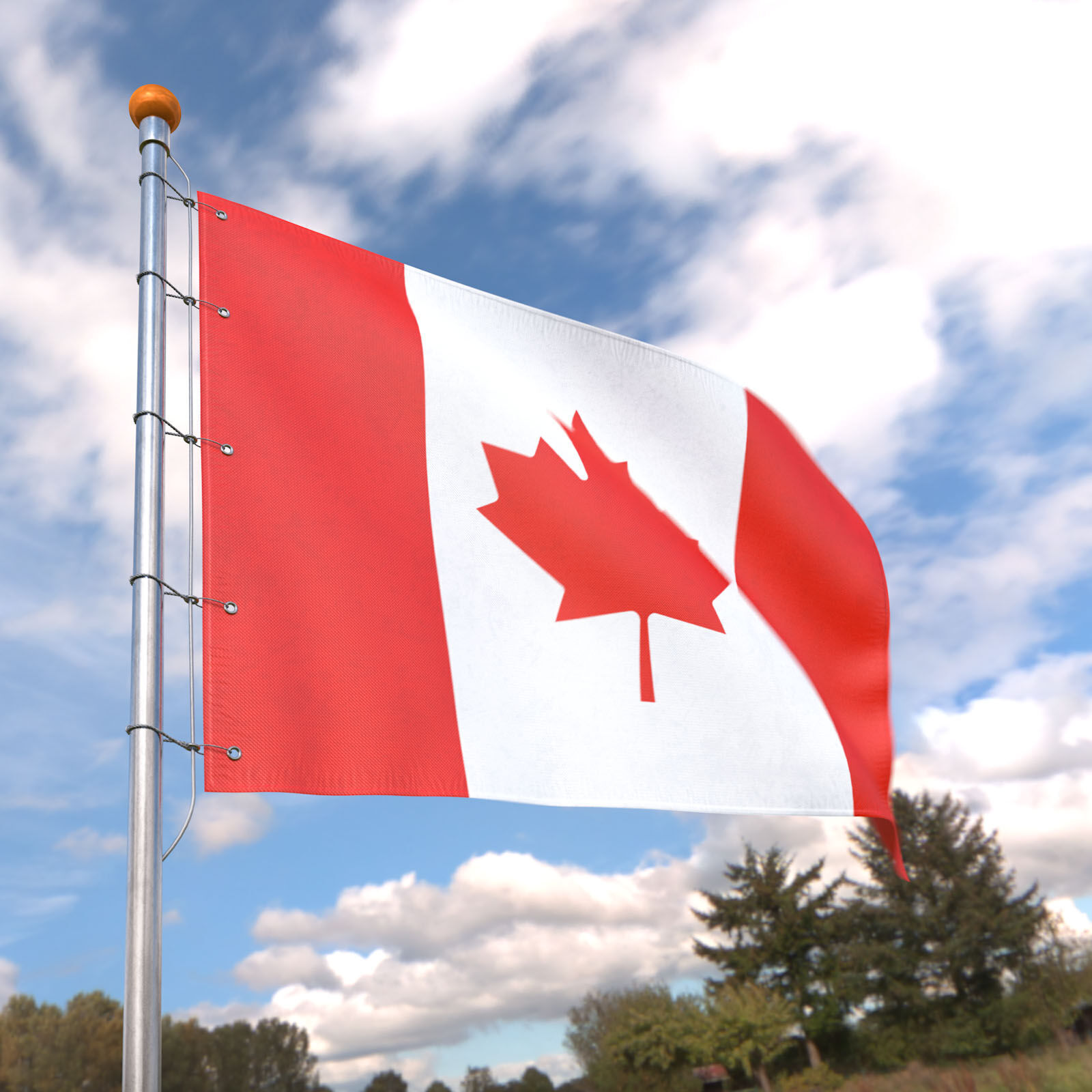 Flag Canada animated loop 3D model_4