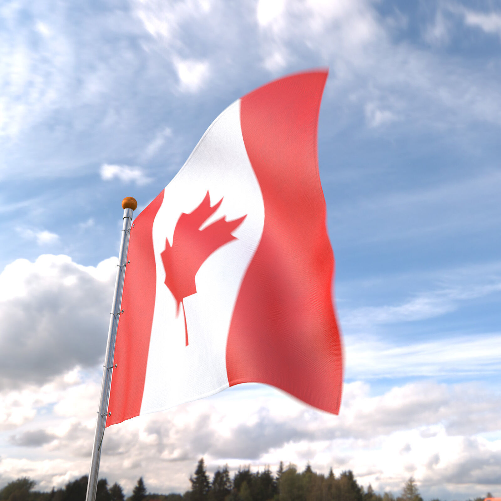 Flag Canada animated loop 3D model_5