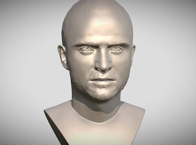 Jesse Pinkman bust 3D print model