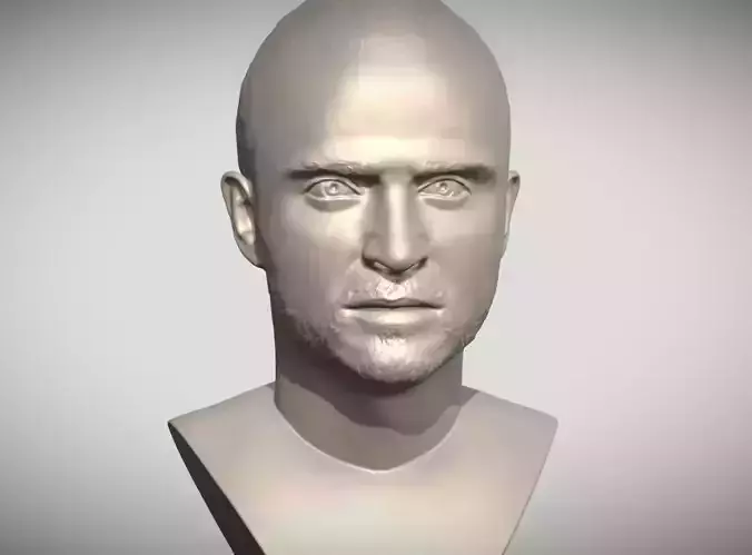 Jesse Pinkman bust 3D print model