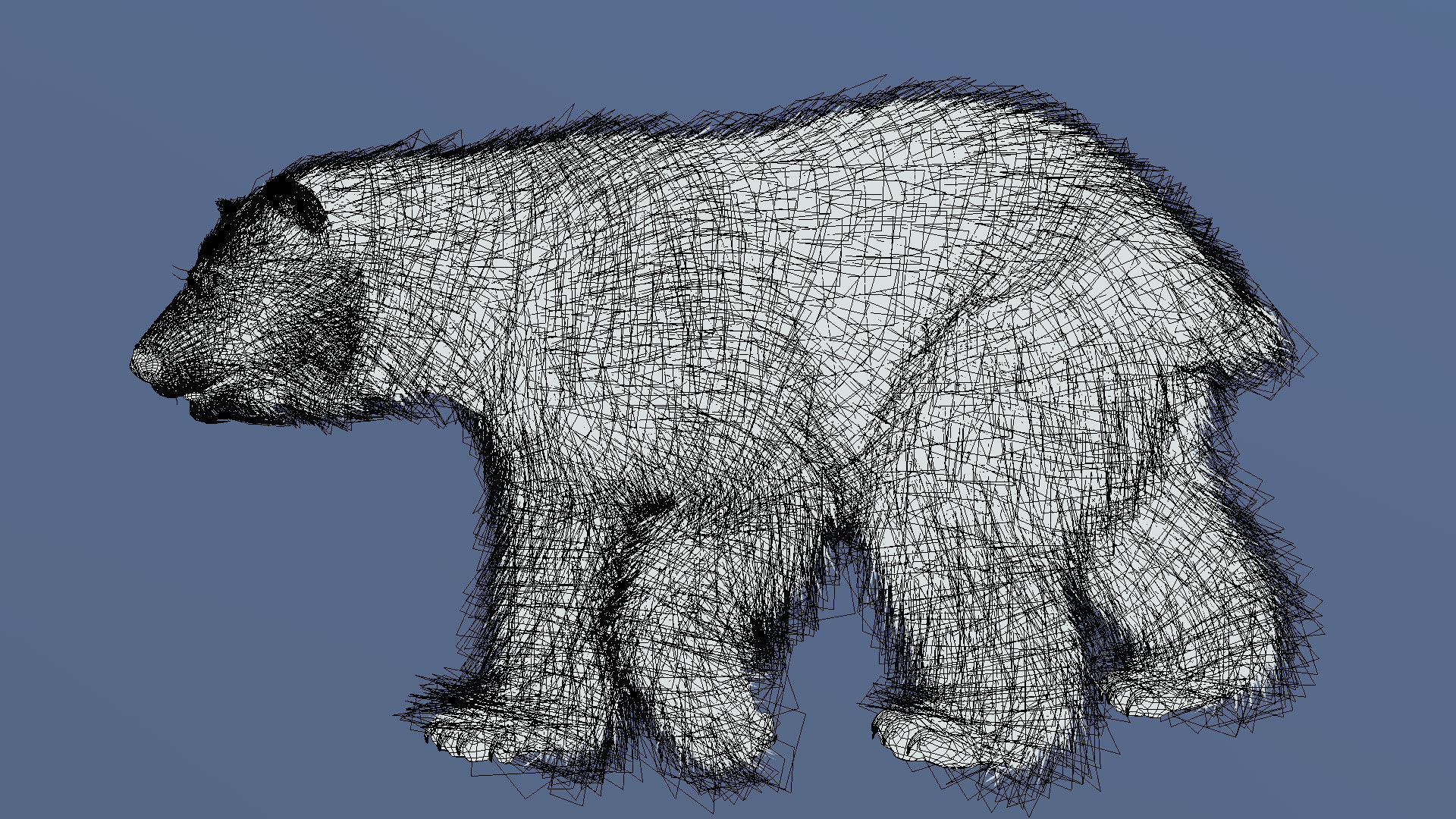 Polar Bear 3D model_7