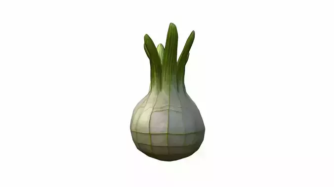 Fresh Fennel Bulb Vegetables 3d Render