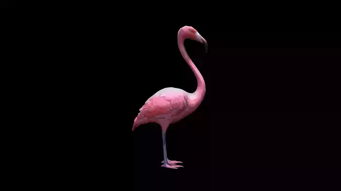 Flamingos On The Sea Beach 3d Render