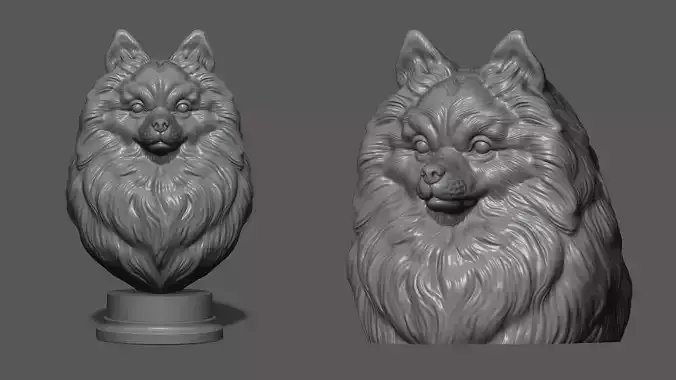 Pomeranian with a closed mouth 3D print model