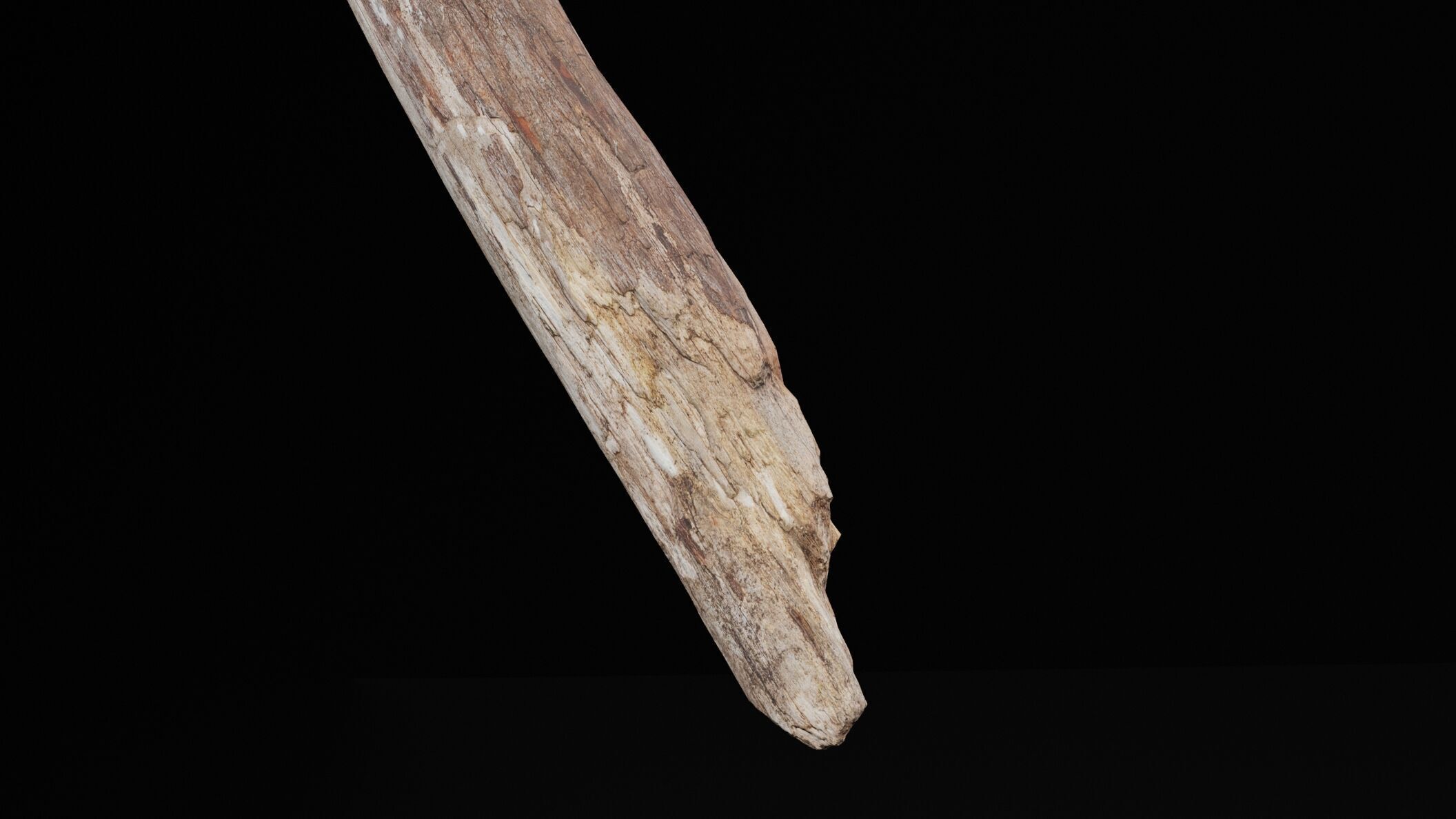 Realistic Tree Branch Low-poly 3D model_4