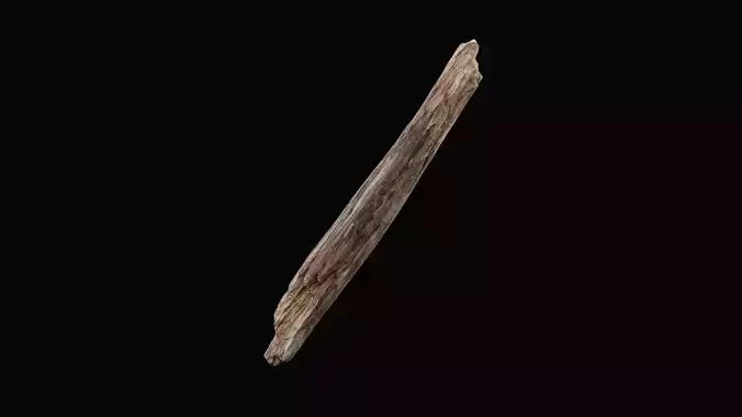 Realistic Tree Branch