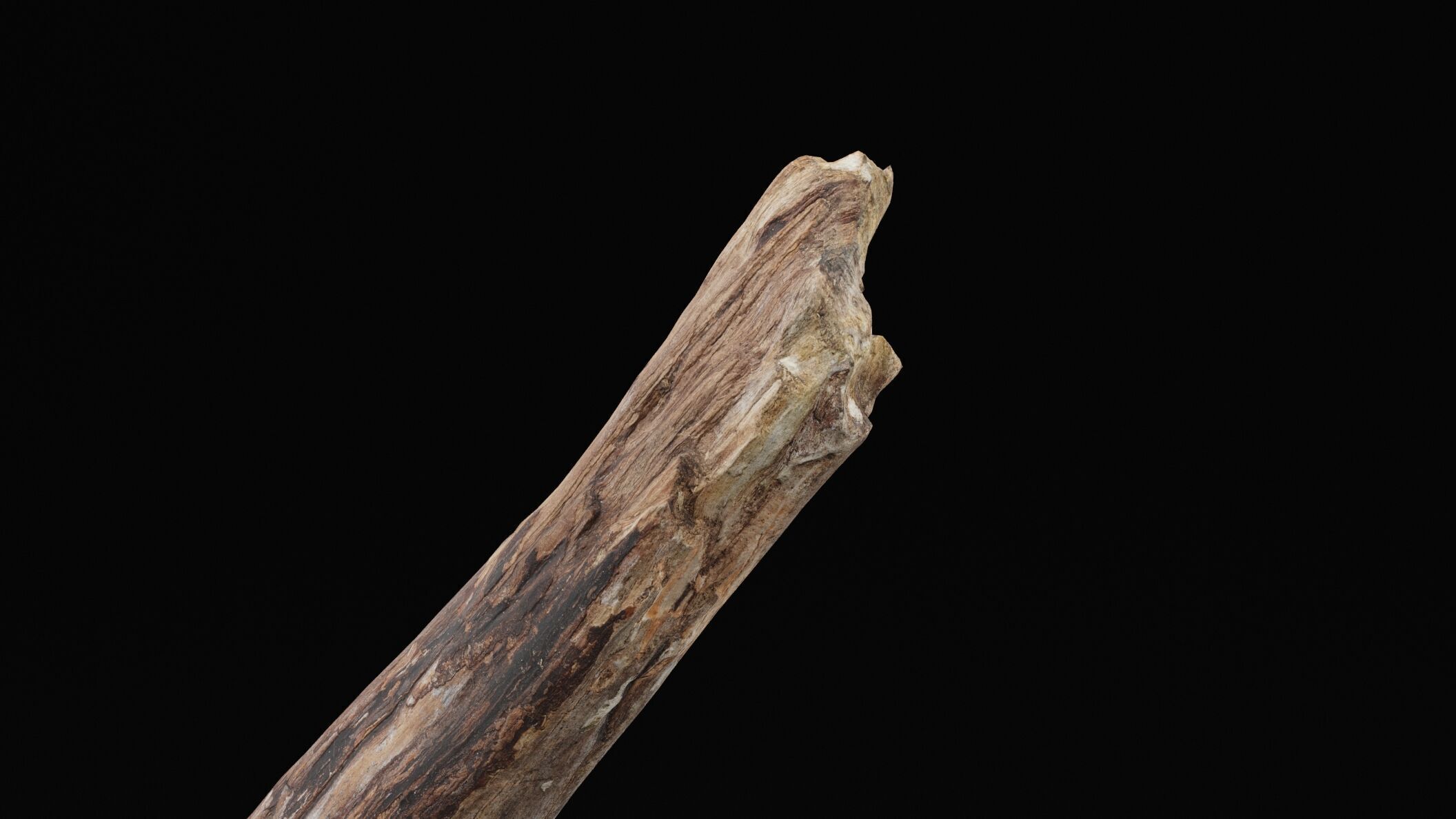 Realistic Tree Branch Low-poly 3D model_2