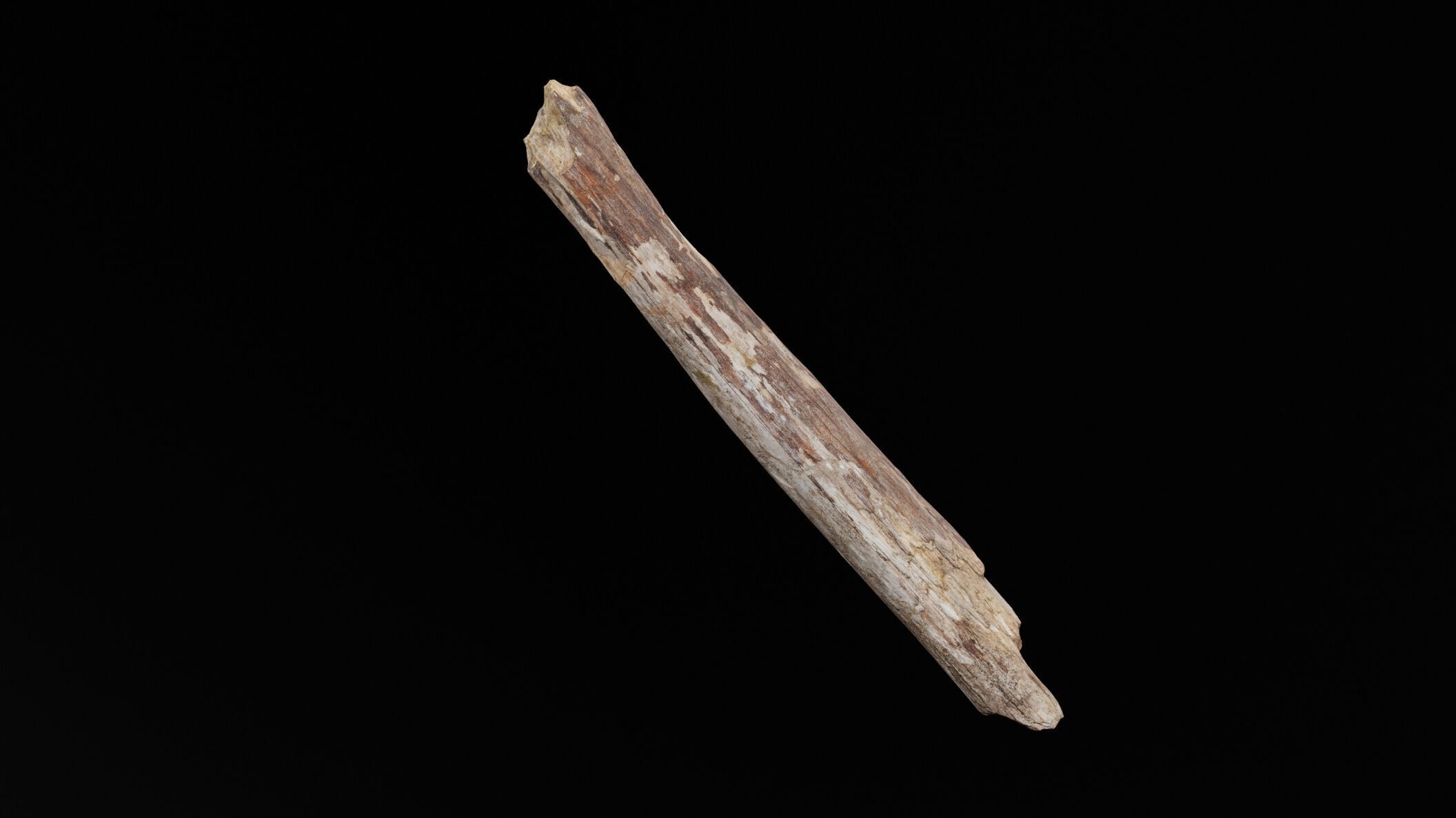 Realistic Tree Branch Low-poly 3D model_3