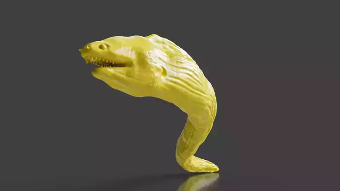 Wild Life Series Moray Eel STL Toy 3D print model
