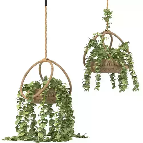 Boho Hanging Plant 02
