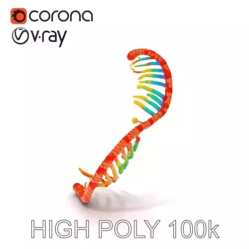 DNA Helix D Model Pack Low-poly 3D model