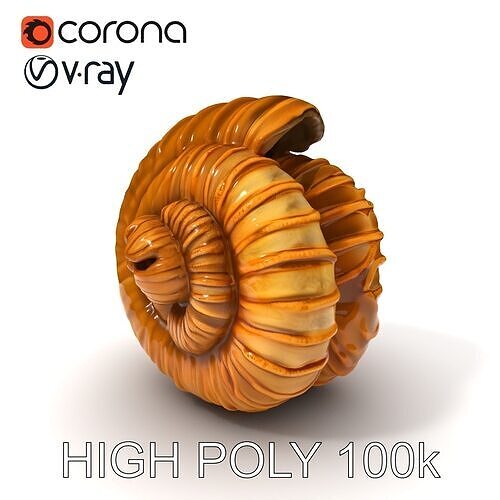 Fossilized Ammonite Model Pack for Interactive Environments Low-poly 3D model
