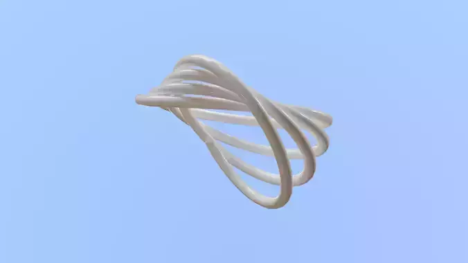 Twisted Wired 3d model