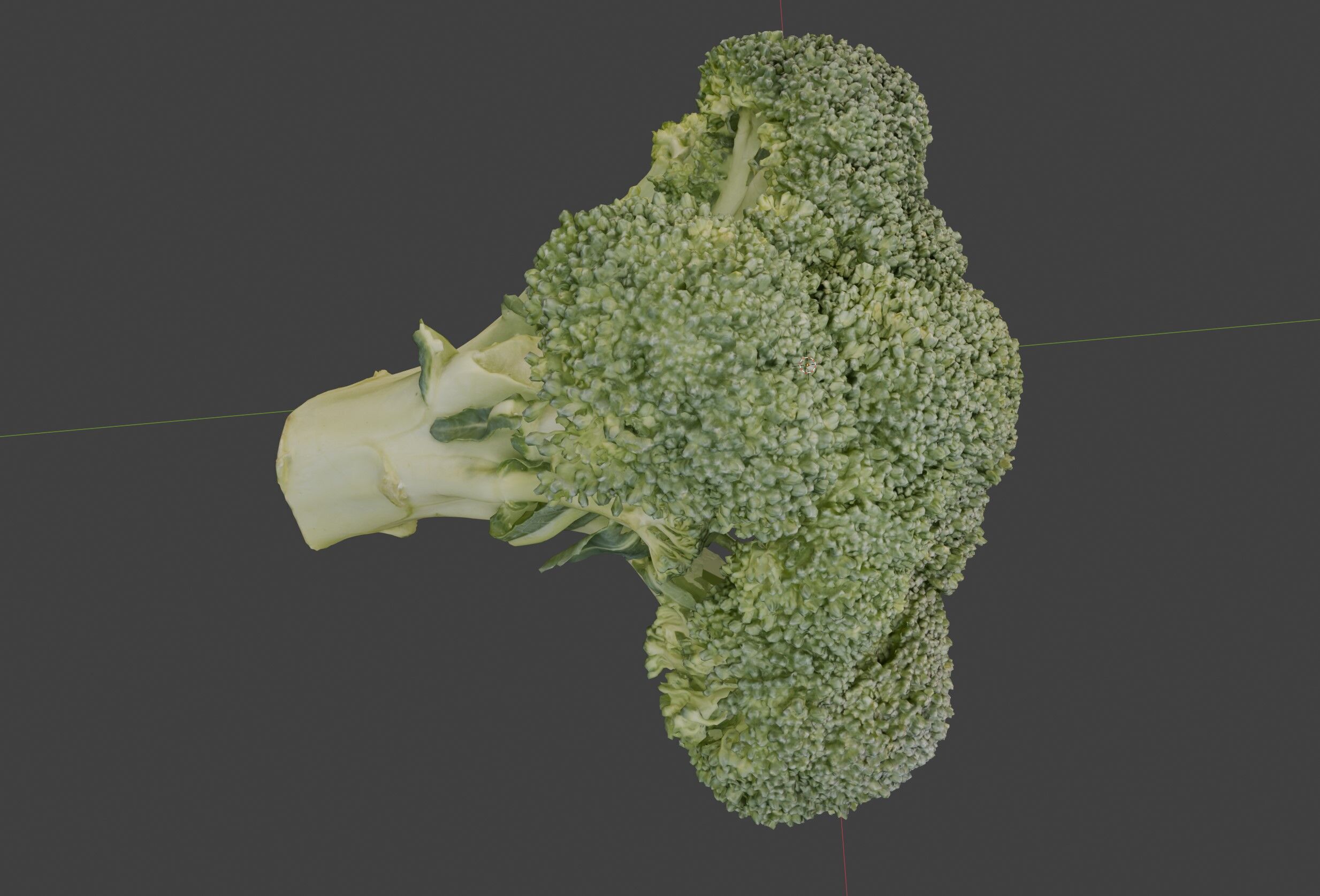 broccoli 3D model_6