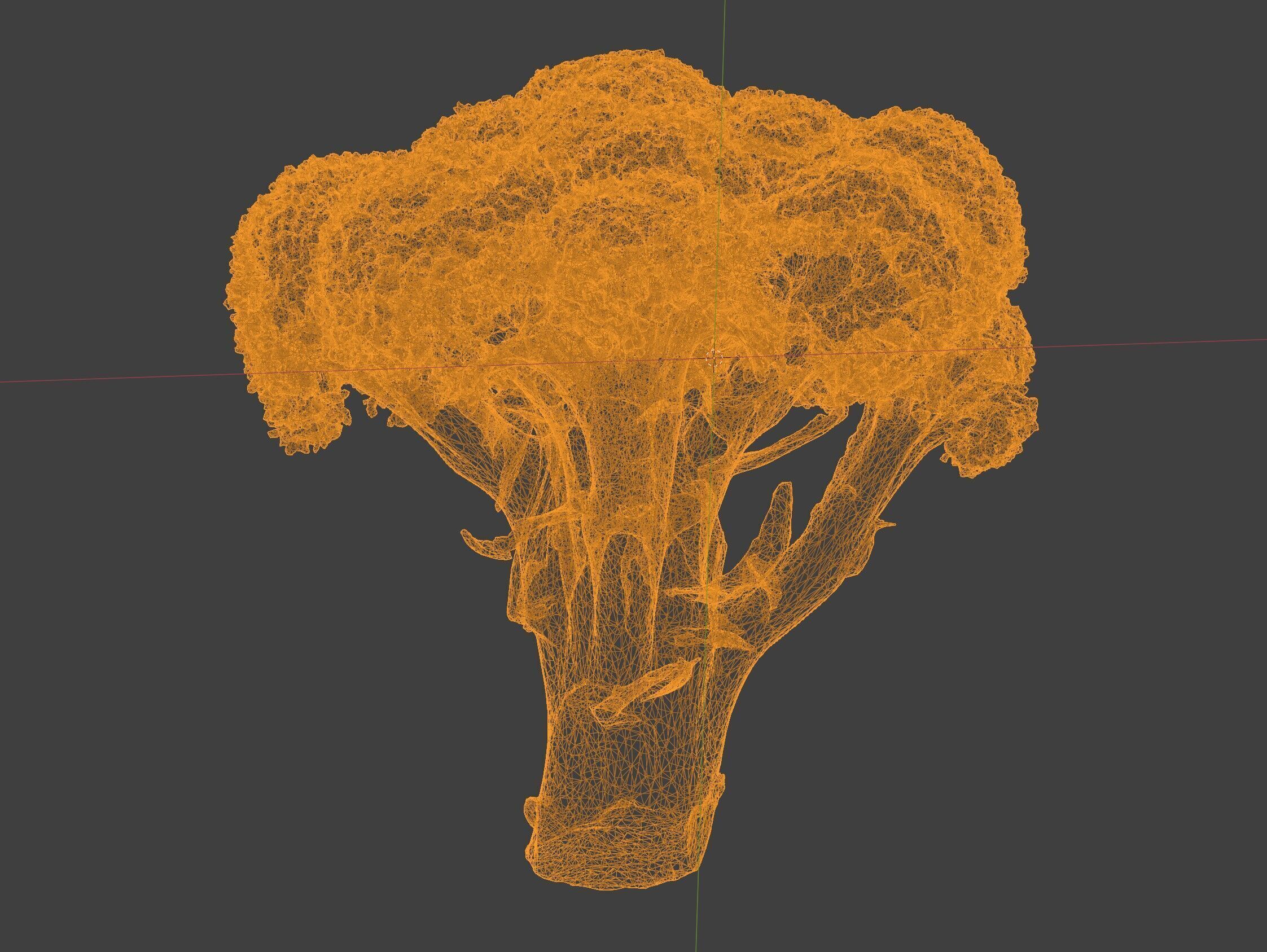broccoli 3D model_9