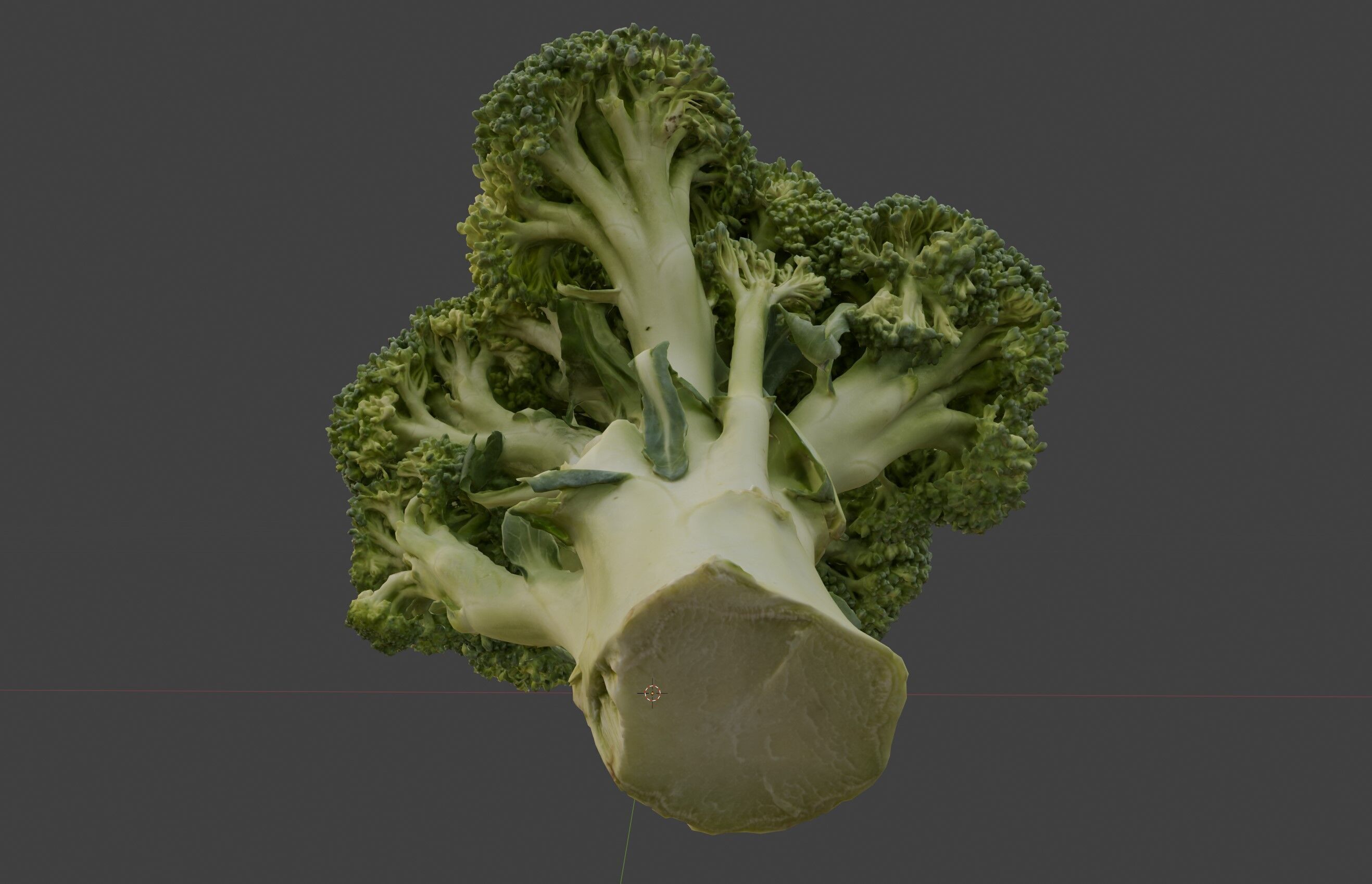 broccoli 3D model_1