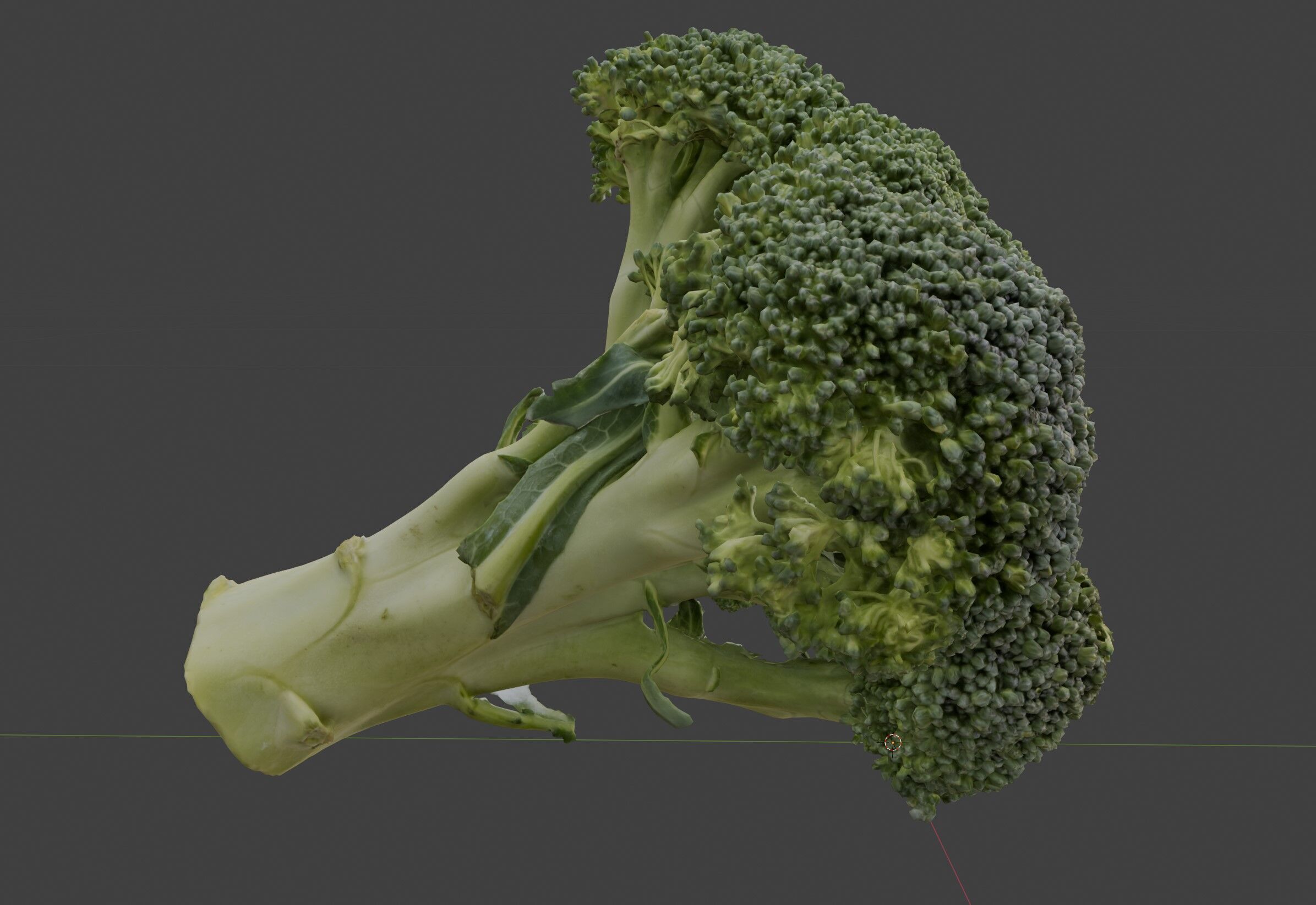 broccoli 3D model_5