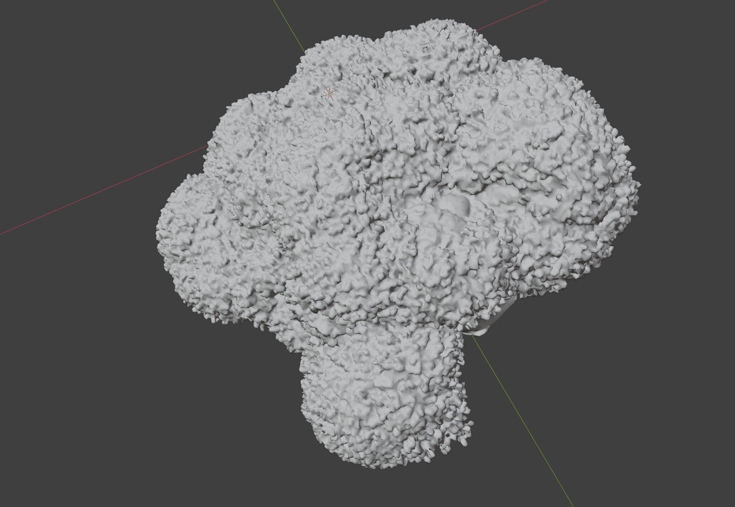 broccoli 3D model_8