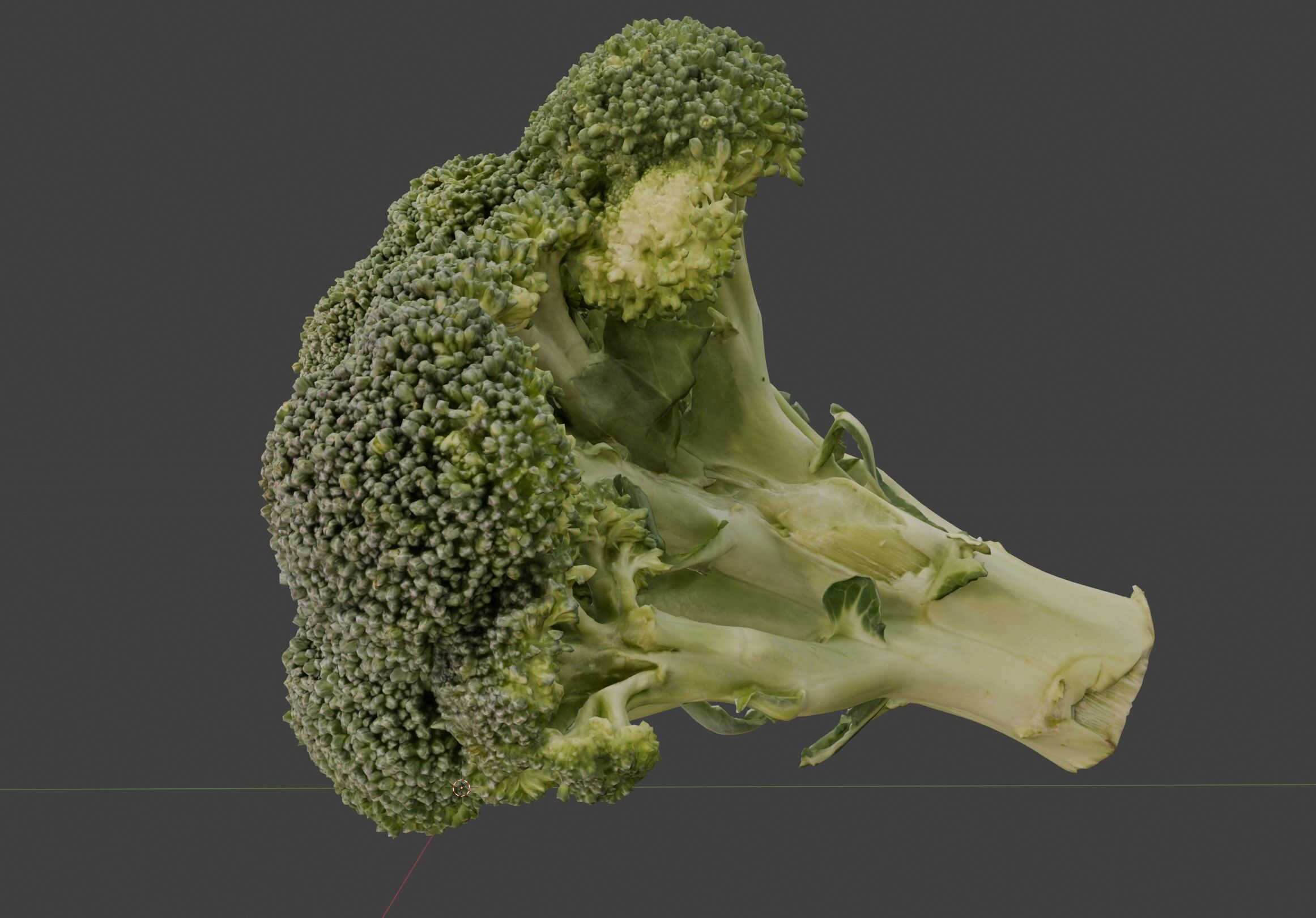 broccoli 3D model_4