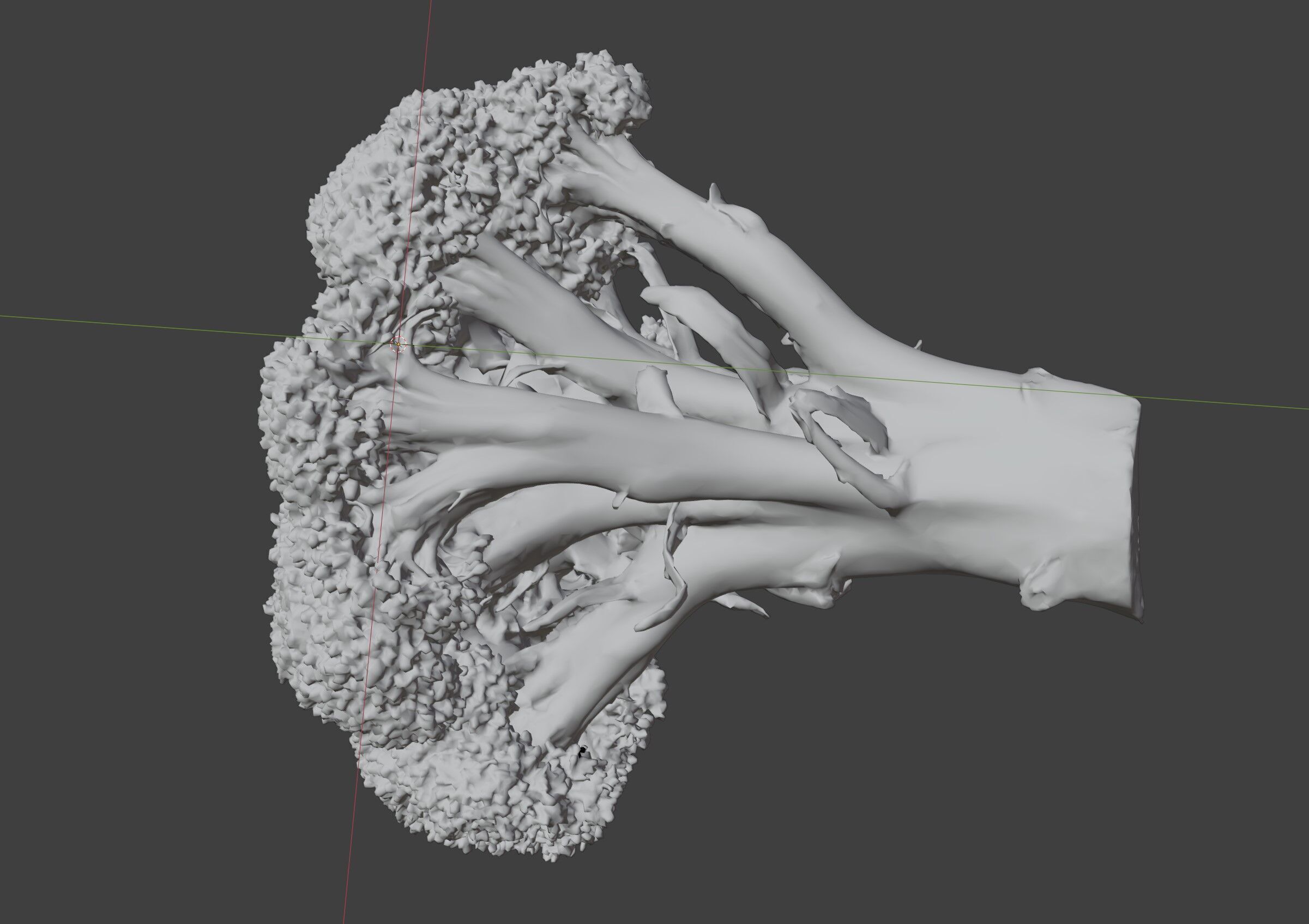broccoli 3D model_7