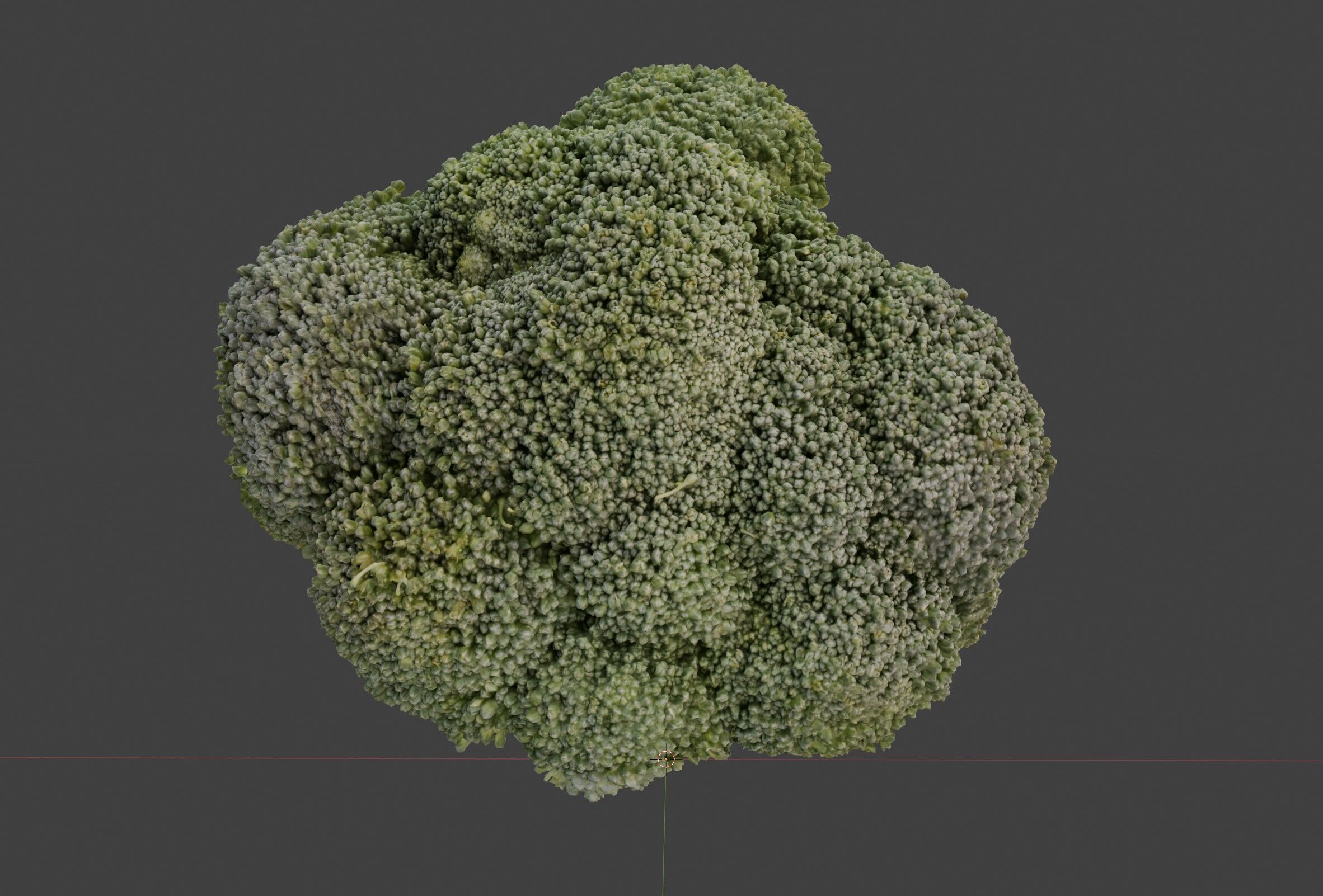 broccoli 3D model_3