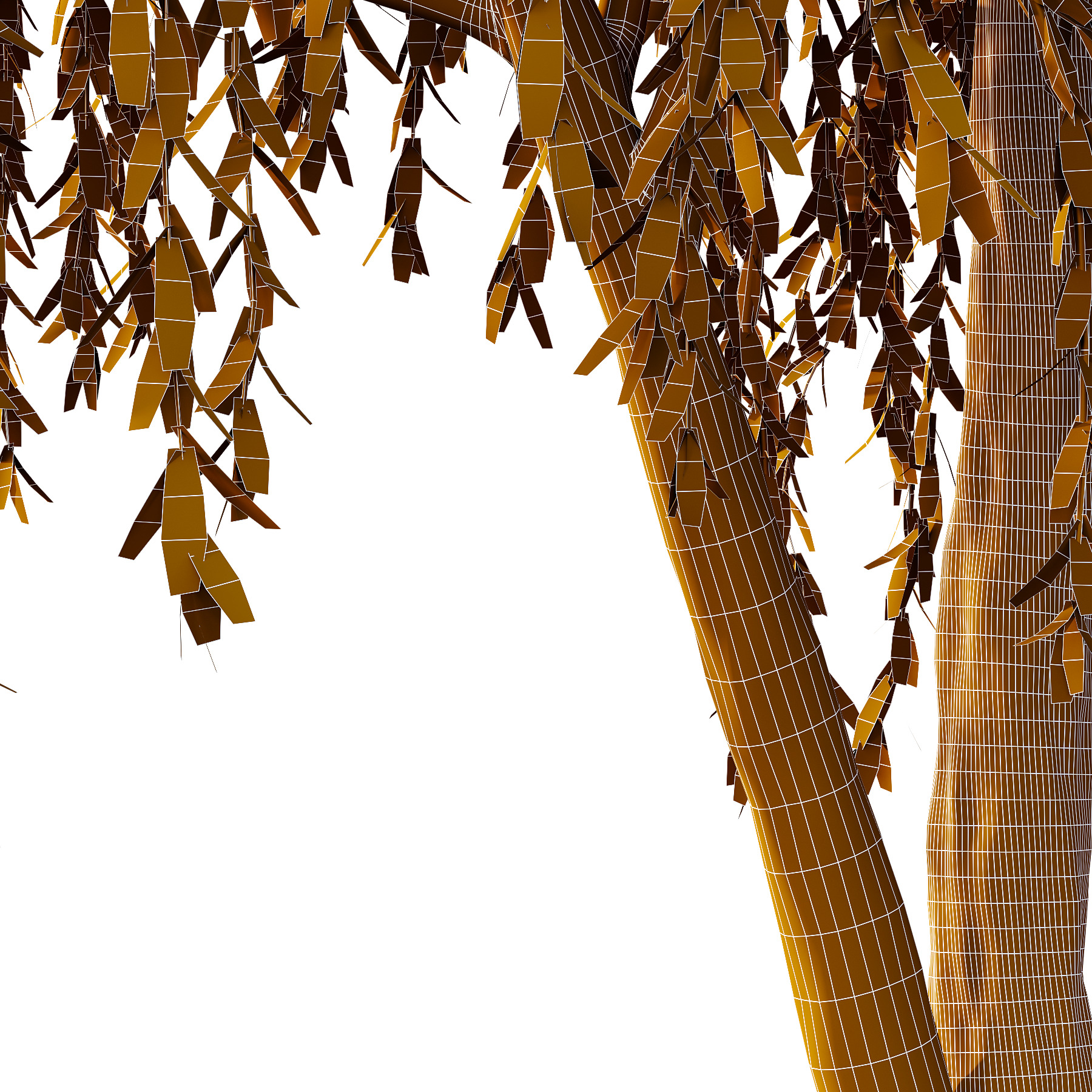 Weeping Willow Tree 01 3D model_4